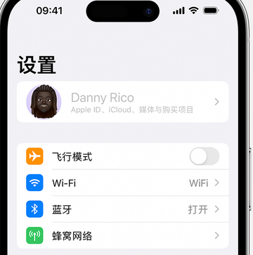 锡林郭勒appleID维修服务iPhone设置中Apple ID显示为灰色无法使用 