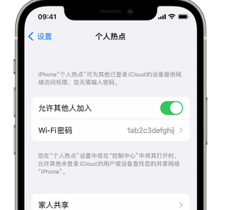 锡林郭勒apple服务站点分享iPhone上个人热点丢失了怎么办