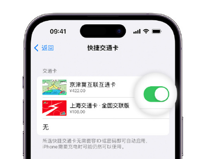 锡林郭勒apple维修点分享iPhone上更换Apple Pay快捷交通卡手绘卡面 