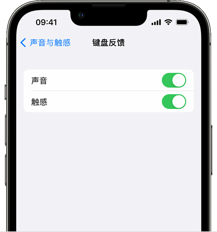 锡林郭勒苹果14维修店分享如何在 iPhone 14 机型中使用触感键盘 