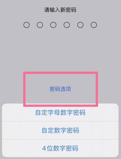 锡林郭勒苹果14维修分享iPhone 14plus设置密码的方法 