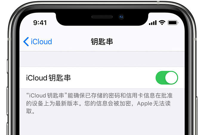 锡林郭勒苹果手机维修分享在 iPhone 上开启 iCloud 钥匙串之后会储存哪些信息 